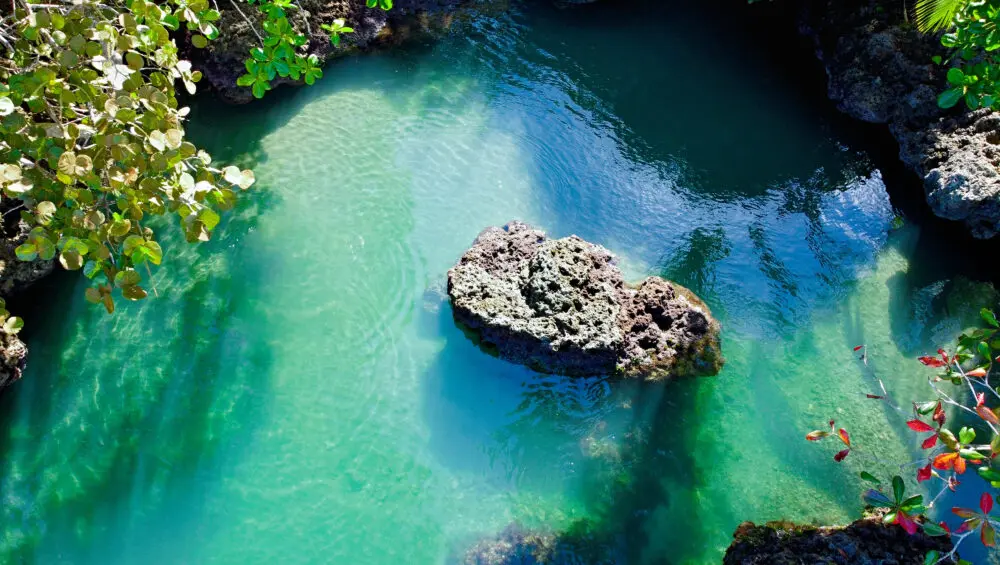 Cahuita Snorkeling  (Combo Packages)
