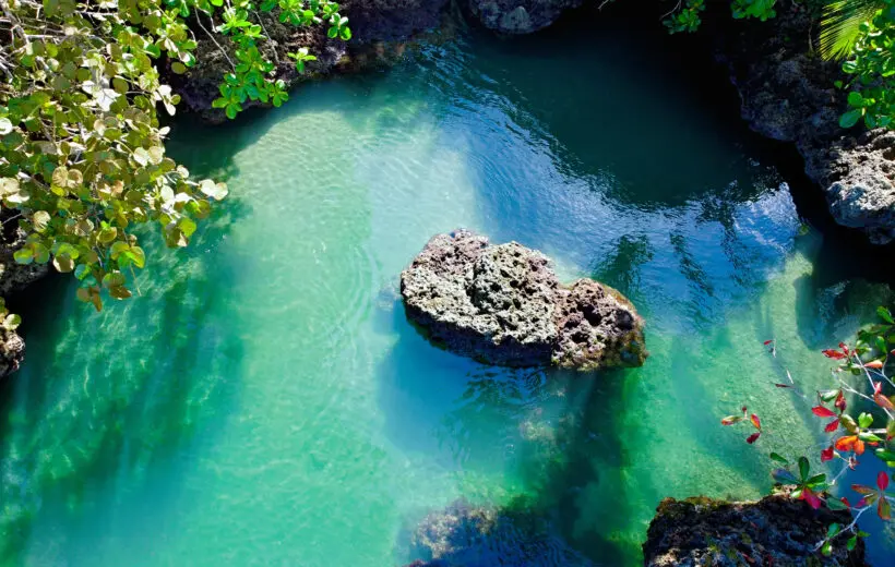 Cahuita Snorkeling  (Combo Packages)