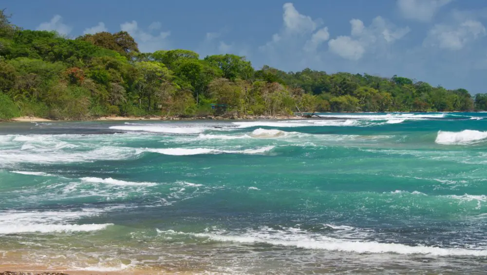 Beach Wild Trail Walk (Single Packages)