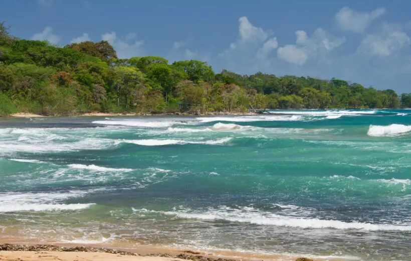 Beach Wild Trail Walk (Single Packages)
