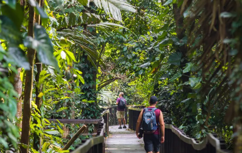 Cahuita National Park Hike Tour (Single Packages)