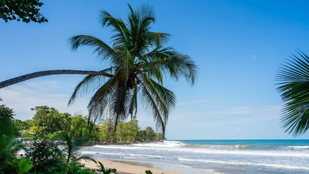 Gandoca Manzanillo Lagoon Boat Trip